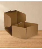 ART2115598 CAJA CARTON - Imagen 3