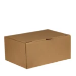 ART2115598 CAJA CARTON