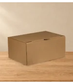 ART2115598 CAJA CARTON