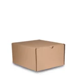 ART212115 CAJA CARTON