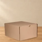 ART212115 CAJA CARTON