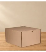 ART212115 CAJA CARTON